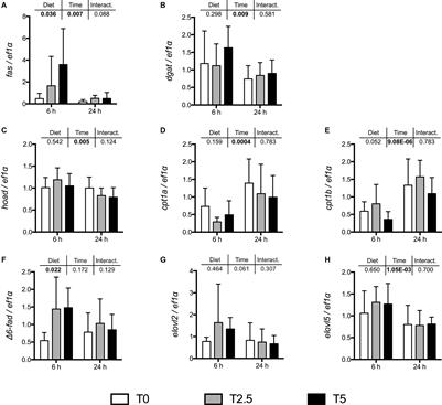 On the Utilization of Dietary Glycerol in Carnivorous Fish—Part II: Insights Into Lipid Metabolism of Rainbow Trout (Oncorhynchus mykiss) and European Seabass (Dicentrarchus labrax)